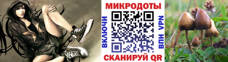 Псилоцибиновые грибы прущие грибы  Купить  Вятские Поляны 